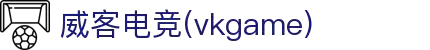 威客电竞·(中国)VK GAMING | VK eSports